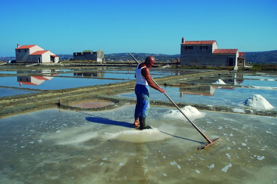 The Saltpans Of Sečovlje – Thezaurus.com